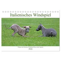 Calvendo Italienisches Windspiel (Tischkalender 2026 DIN A5 quer), CALVENDO