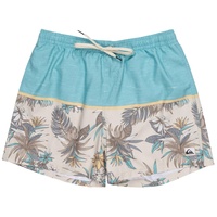 QUIKSILVER Life On Reef 15" - Schwimmshorts für Männer
