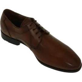 LLOYD Osmond braun 40