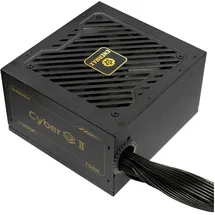 Enermax Technology Enermax ERV750G-AHG-NAC Netzteil 750 W 20+4 pin ATX ATX Schwarz