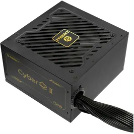 Enermax Technology Enermax ERV750G-AHG-NAC Netzteil 750 W 20+4 pin ATX ATX Schwarz