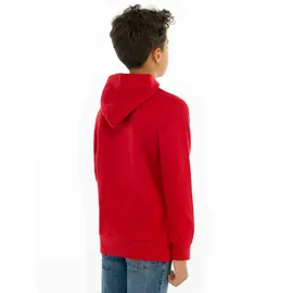 Levi's Levi ́s ® Kids Batwing Screenprint Kapuzenpullover - Levis Red White 6 Jahre