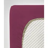 FLEURESSE Comfort 001117 Jersey 200 x 200 - 200 x 220 cm himbeere