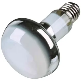 Trixie Wärme-Spot - 95 ø 80 × 108 mm
