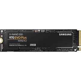 Samsung 970 EVO Plus 250 GB MZ-V7S250BW