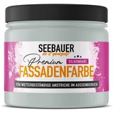 SEEBAUER diy Silikonharz-Fassadenfarbe Grau 300ML für Außen (No. 216 Mountain Slate) Selbstreinigende Fassadenfarbe mit Lotuseffekt - Geeignet für Putz, Mauerwerk und Beton