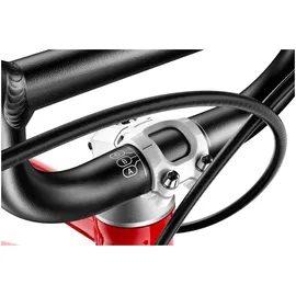 woom GO 1 Plus 14 Zoll woom red