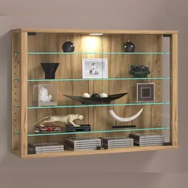 VCM Morgenthaler Vitrosa L