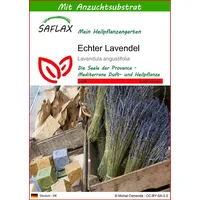 SAFLAX - Heilpflanzen - Echter Lavendel - 150 Samen