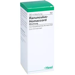 Ranunculus-Homaccord