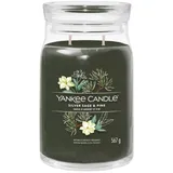 Yankee Candle Silver Sage & Pine Duftkerze Signature 567 g