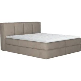 LeGer Home by Lena Gercke Boxspringbett "Addyson", grau (platinum), B:170cm L:230cm, 100% Polyester, LEGER HOME BY LENA GERCKE, Komplettbetten, Boxspringbett, Boxspringbett inkl. Topper, 2 Matratzen