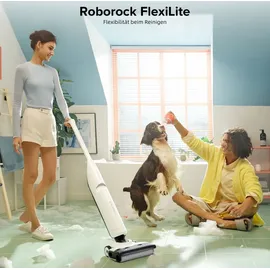 Roborock Flexi Lite