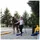 Dönges Anreitpuppe Pferdinand