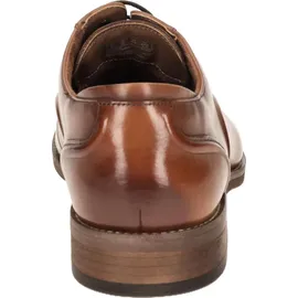CLARKS CraftRemi Lace Herren Braun 47