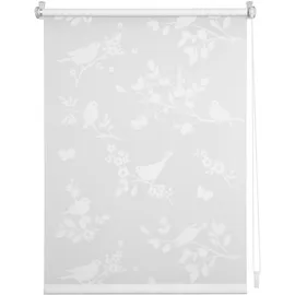 Lichtblick Rollo Klemmfix, ohne Bohren, blickdicht - Ausbrenner,