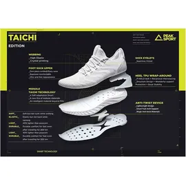 Peak Performance TaiChi King Laufschuhe 21492 weiss 48