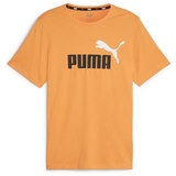 Puma Herren ESS+ 2 Col Logo Tee, Clementine, L