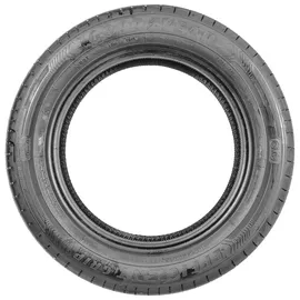 Goodyear EfficientGrip Performance 205/55 R16 91W