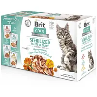 Brit Katze MultiPack 12 x 85g Fillets in Gravy