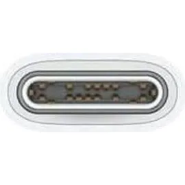 Apple USB-C 1,0 m Weiß