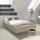 Rauch Futonbett Phoenix grau ¦ Maße (cm): B: 145 H: 41