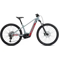 E-Bike GHOST "E-Teru B Advanced" E-Bikes Gr. 51 cm, 29 Zoll (73,66 cm), grau (hellgrau, rot, schwarz) E-Bikes Pedelec, Elektrofahrrad für Damen u. Herren, MTB, Mountainbike