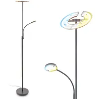 Briloner LED-Stehleuchte RAVAN CCT anthrazit