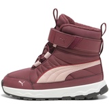 Puma Evolve Boot AC+ PS Sneaker, Dark Jasper-Future PINK-Astro RED, 31