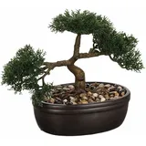 Atmosphera Créateur d'intérieur Bonsai 32x16x23 cm Keramik, schwarzer Topf 103379