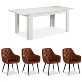Homestyle4u Essgruppe mit 4 Samt Polsterstühlen in Braun und Weiß 2381