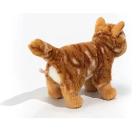 Teddy-Hermann Katze stehend rot getiegert