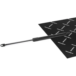 RIDEX Heckklappendämpfer LAMBORGHINI 219G1132 7029005