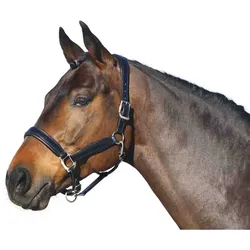 Euroriding Halfter Leder British Line
