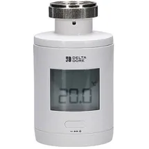 DELTA DORE Heizkörperthermostat TRV 1,0 Smart Home fähig