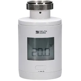 DELTA DORE Heizkörperthermostat TRV 1,0 Smart Home fähig