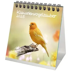 Seelenzauber Tischkalender Kanarienvogelzauber Kalender 2025 Format 10cm x 10cm Kanarienvögel weiß
