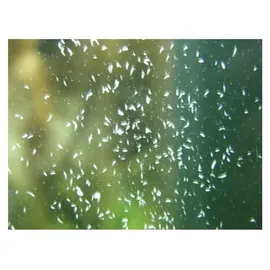 Femanga Aquarium-Wasserpflanzendünger Wurzel Aktiv 250 ml