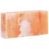 vidaXL Salzsteine 10 pcs Rosa 20 x 10 x 5 cm Steinsalz