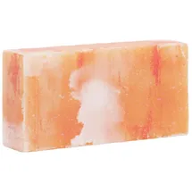 vidaXL Salzsteine 10 pcs Rosa 20 x 10 x 5 cm Steinsalz
