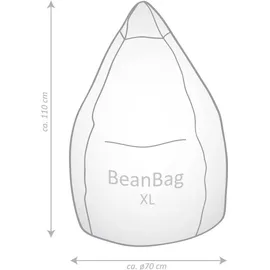 Sitting Point BeanBag Fluffy 70 x 110 cm grün