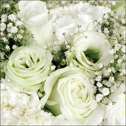 Ambiente 20 Servietten Papier 33x33cm 3-lagig - hochwertige Einweg Papierservietten weiße Rosen Nelken Schleierkraut Blumenmotiv elegant Hochzeit Feier Deko