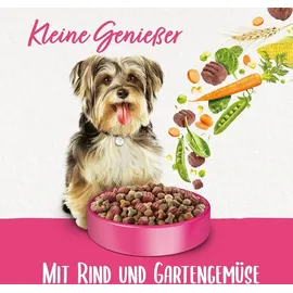 Purina BENEFUL Kleine Genießer mit Rind Hundetrockenfutter 1,4kg Beutel (6er Pack (6 x 1400g))