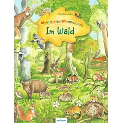 Mein erstes Wimmelbuch – Im Wald