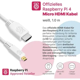 BerryBase Raspberry Pi 4 Starterkit, 64GB microSDHC inkl. Pi OS, Gehäuse, Netzteil, HDMI-Kabel und Zubehör - RAM: 2GB - Farbe: weiß