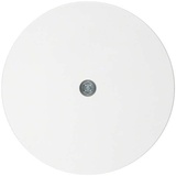 Berker R.1/R.3/R.classic Blindverschluss für Kabelauslass, polarweiß glänzend