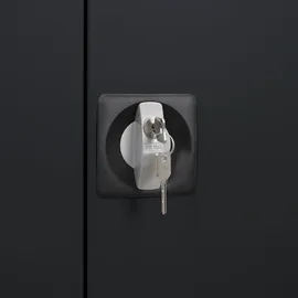 Proregal Owl Flügeltürschrank 195 x 95 x 50 cm Lichtgrau/Anthrazitgrau