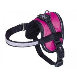 Nobby Geschirr "SEGURO" Mini 31- 40 cm Himbeere