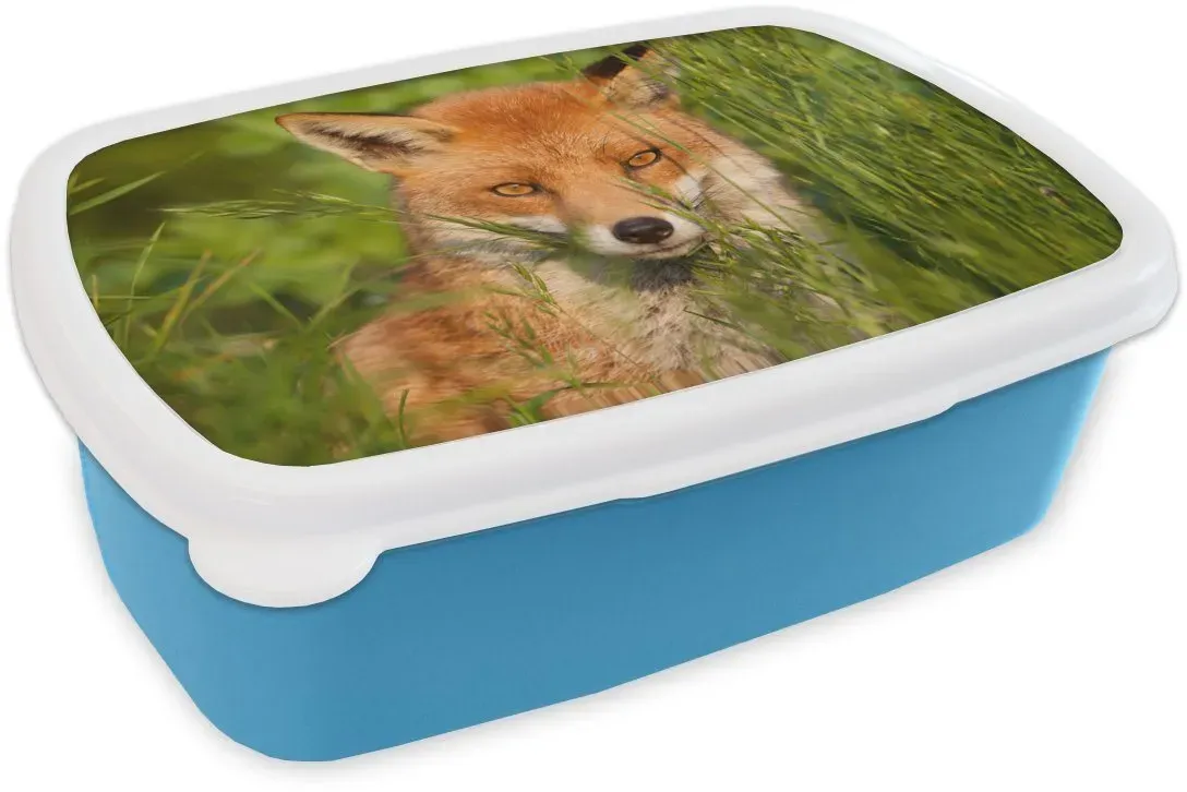 Preisvergleich Produktbild MuchoWow Lunchbox Rotfuchs - Gras - Augen blau