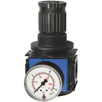 Riegler Druckregler »variobloc«, inkl. Manometer, BG 1, G 1/4,